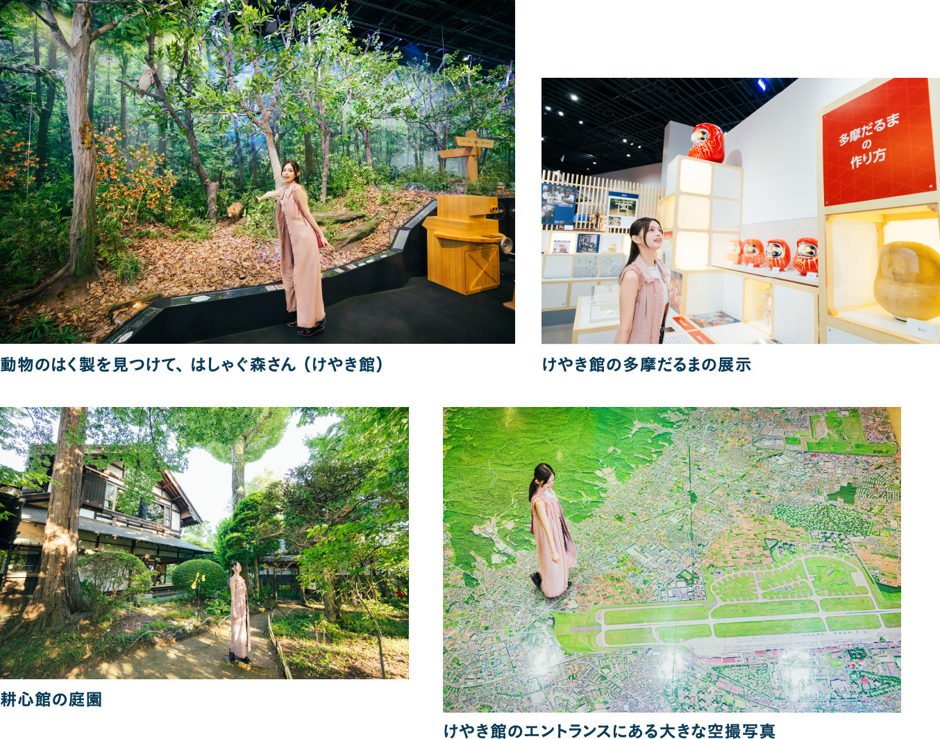 ヒノトントンZOO（羽村市動物公園）