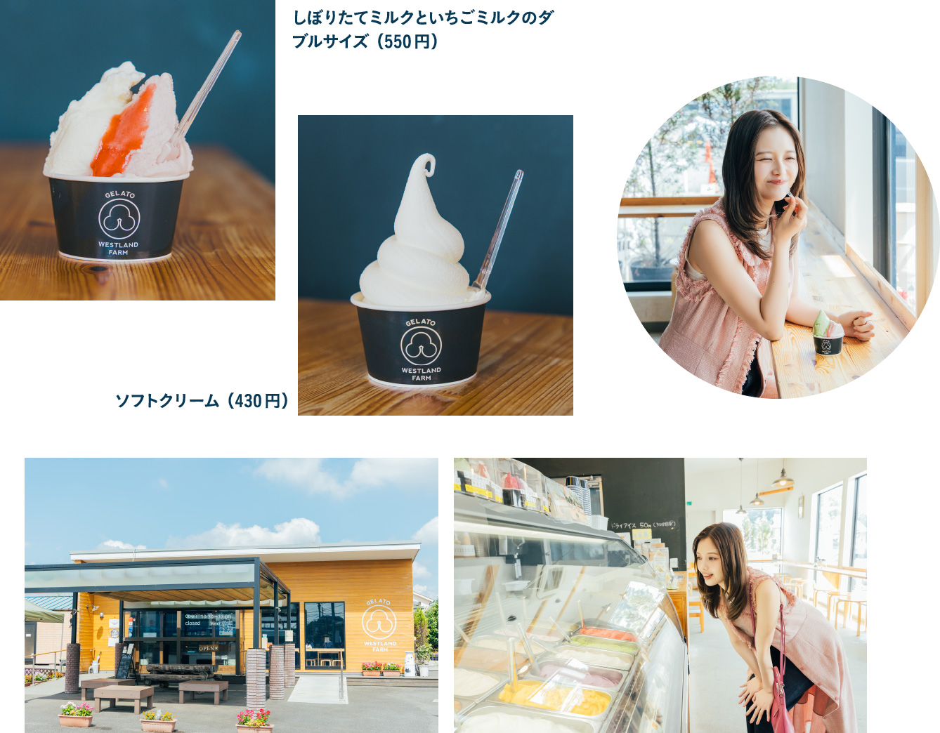 清水牧場 WESTLAND FARM