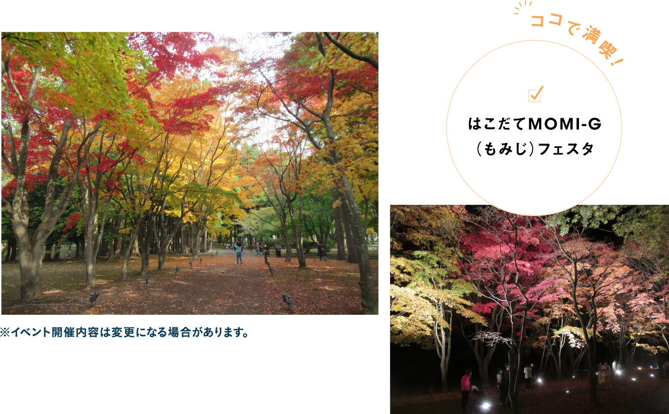 錦秋の日本庭園を訪ねる紅葉