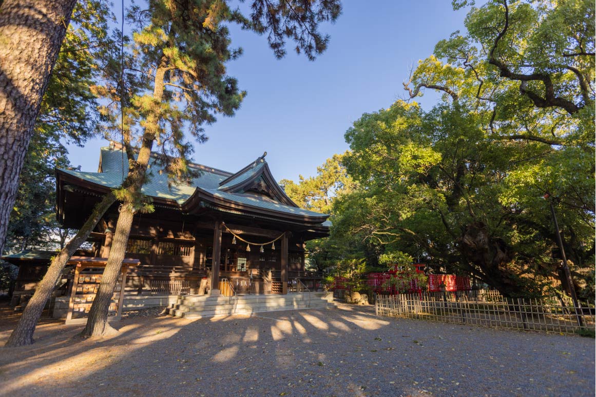 家康のピンチを救った楠の木の逸話が残る浜松八幡宮を参拝