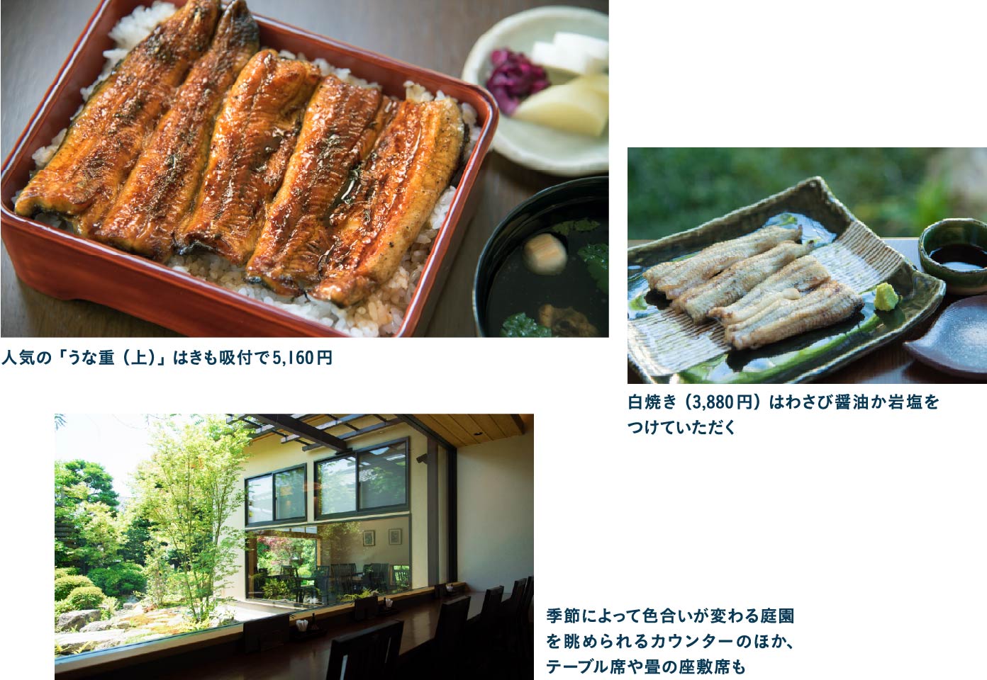 創業百余年の人気食事処・かねりん鰻店で和風庭園を眺めながらうなぎランチ