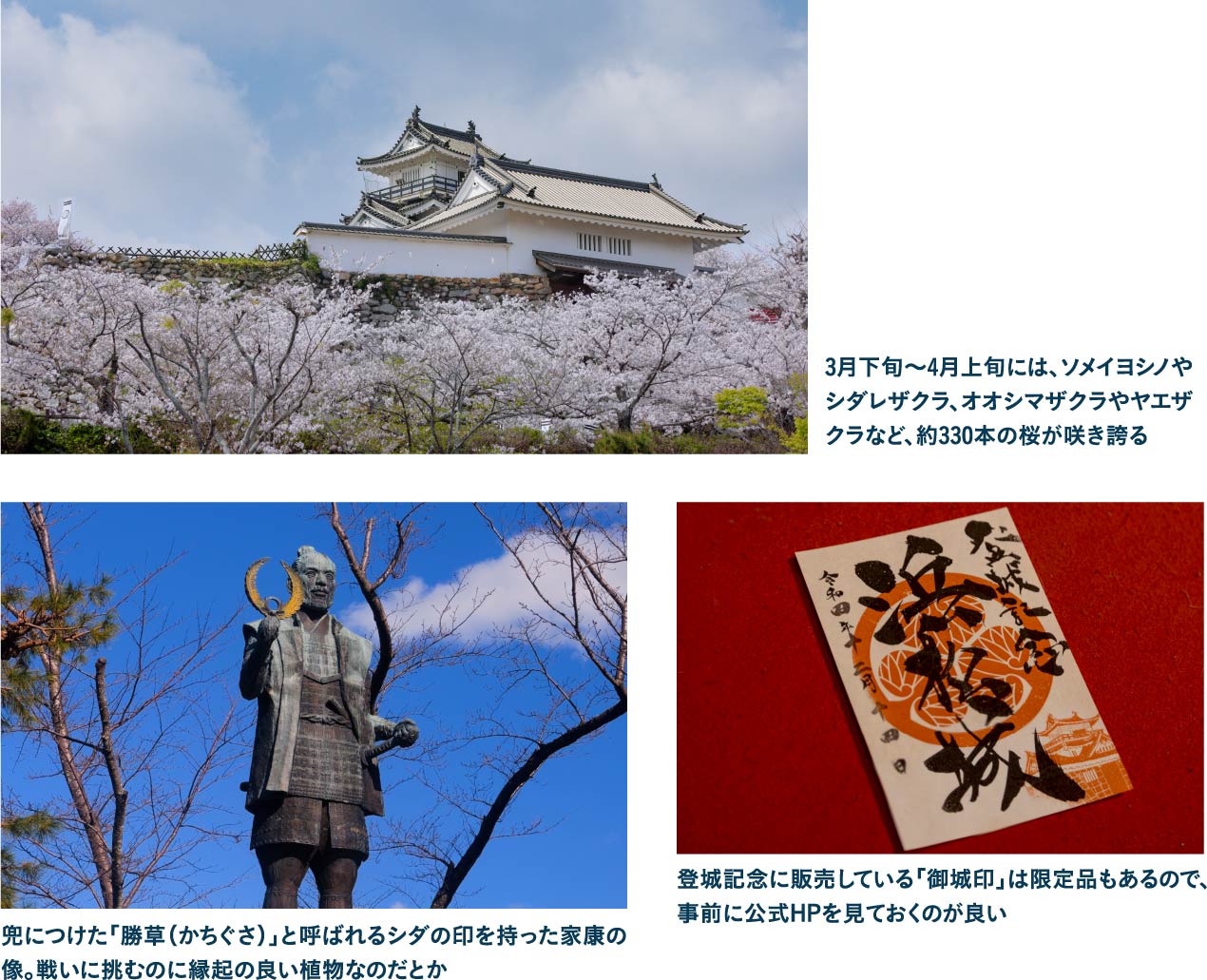 「出世城」と呼ばれる街のシンボル・浜松城を見学