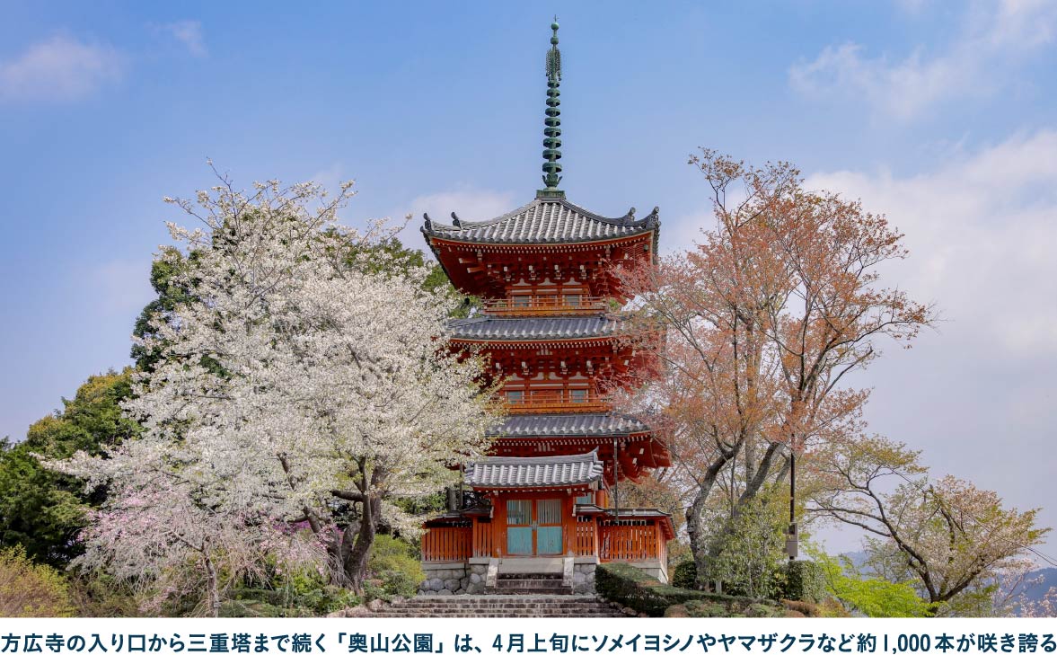 家康・直政とゆかりある古刹・方広寺で五百羅漢像を見学