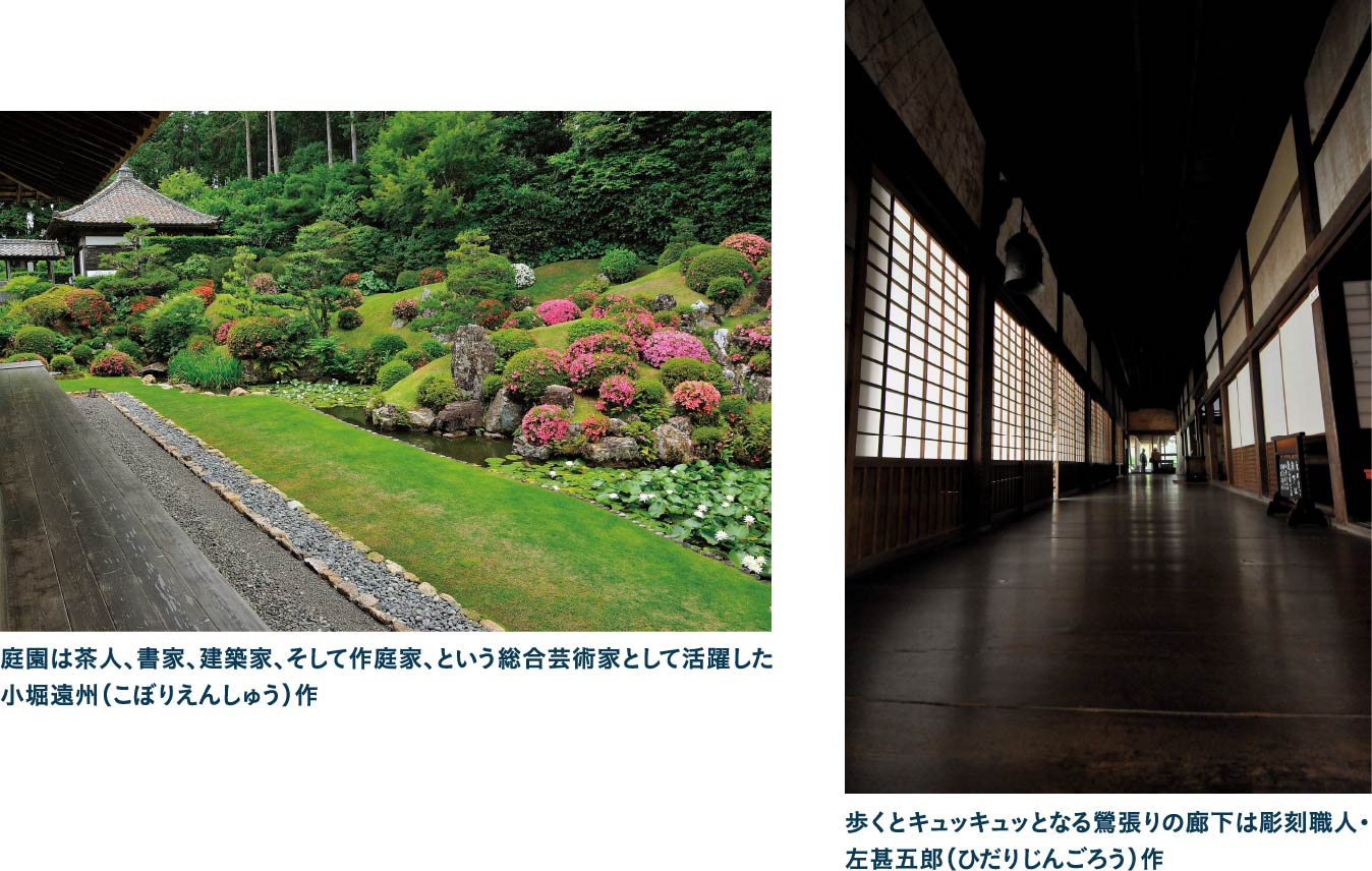 井伊家歴代の菩提樹・龍潭寺にある“東海一の名園”で心鎮める