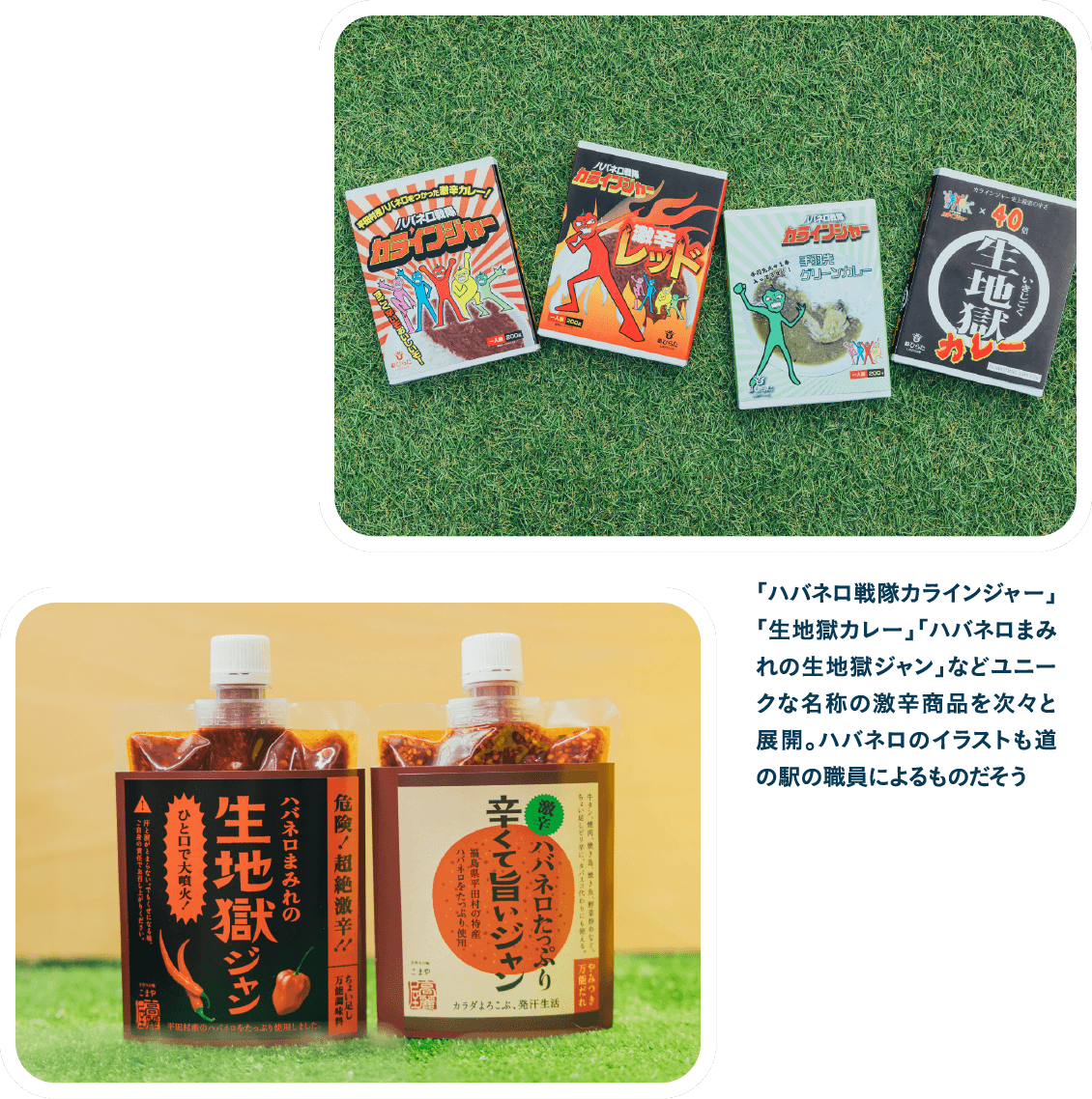 「ハバネロ戦隊カラインジャー」「生地獄カレー」などユニークな激辛商品を次々と展開。パッケージのイラストも道の駅の職員によるものだそう