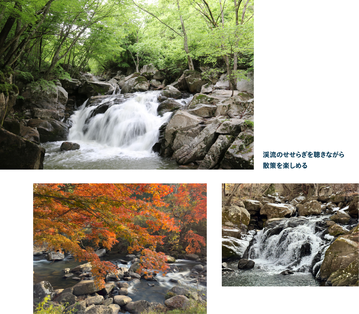 山鶏滝 渓流の散策路