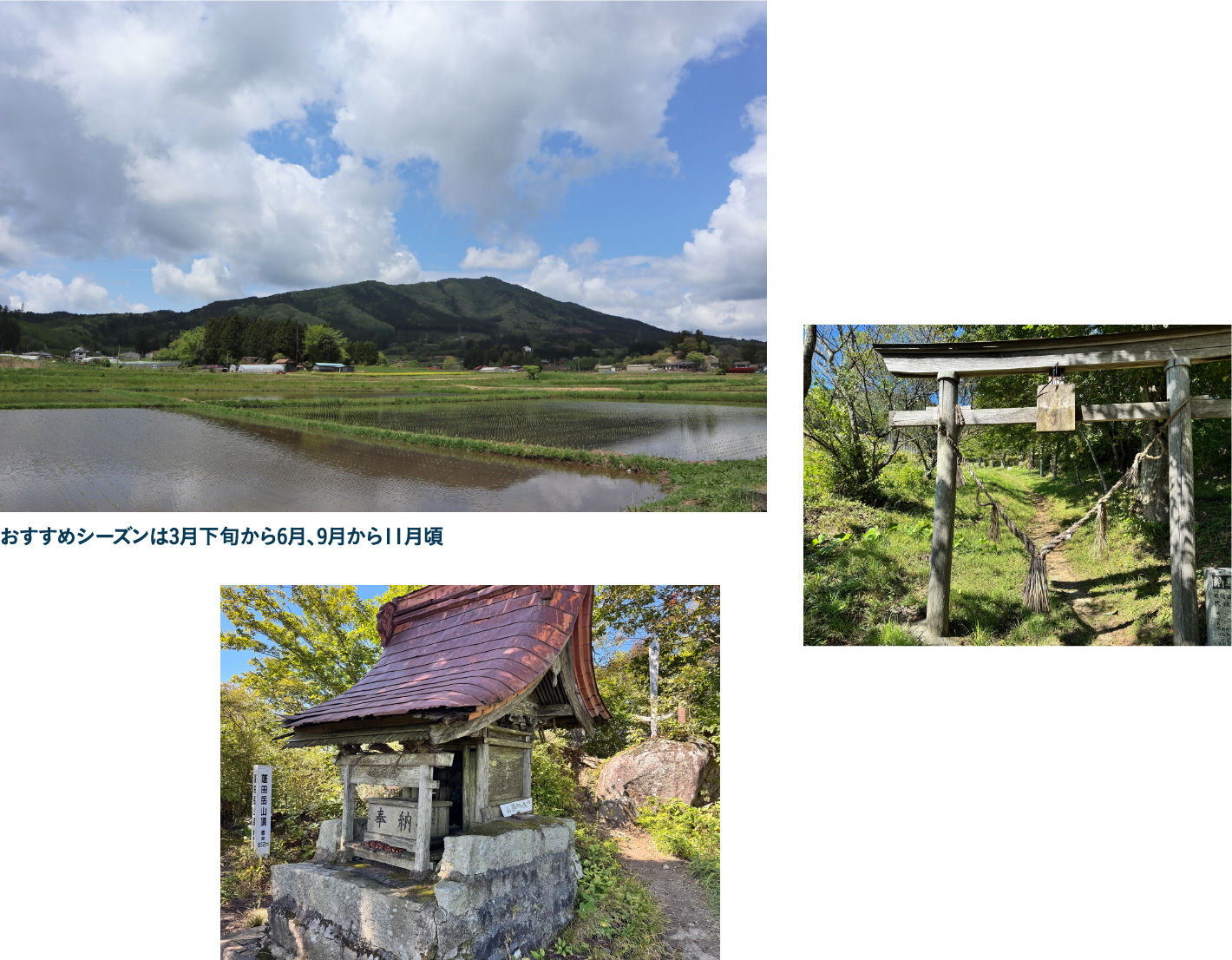蓬田岳 山頂からの絶景