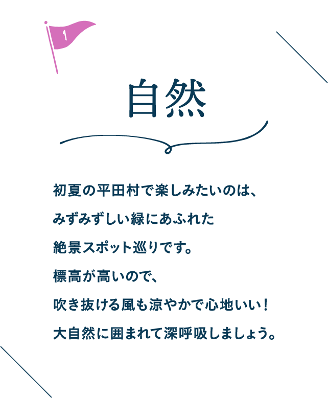 自然 初夏の平田村で楽しみたいのは、みずみずしい緑にあふれた絶景スポット巡りです。標高が高いので、吹き抜ける風も涼やかで心地いい!大自然に囲まれて深呼吸しましょう。