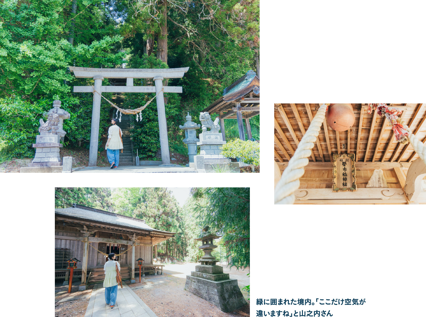 菅布禰神社 鳥居と境内。緑に囲まれた境内。「ここだけ空気が違いますね」と山之内さん