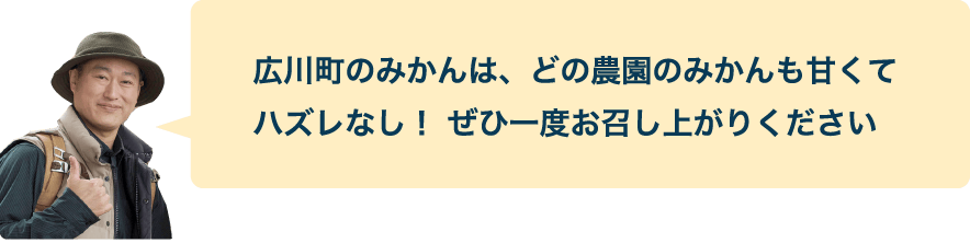 広川町のみかんは、どの農園のみかんも甘くてハズレなし！ ぜひ一度お召し上がりください