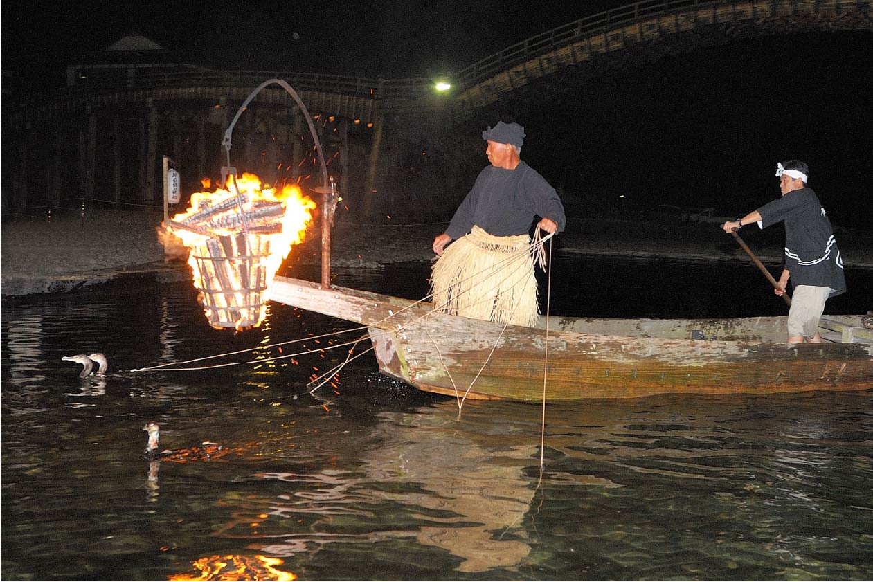 伝統漁法が生み出すアート錦帯橋のう飼を遊覧船からみる