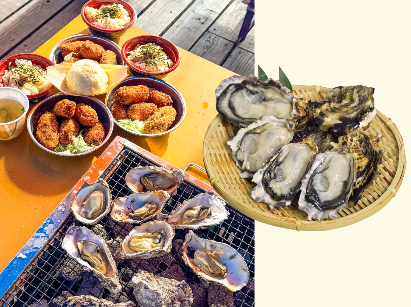 濃厚クリーミーな味わいに舌鼓 食べ比べも楽しい広島の牡蠣