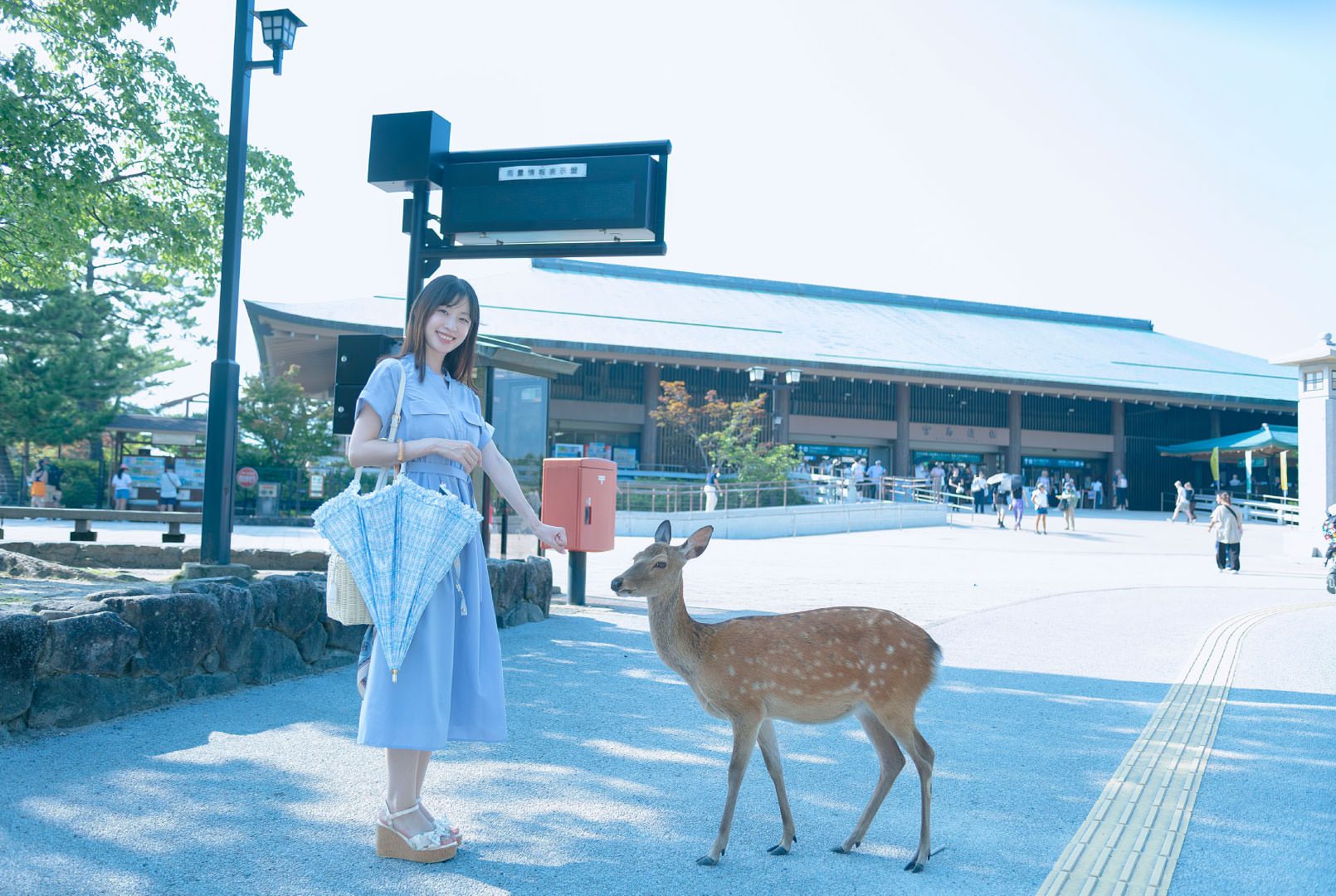 廿日市市
