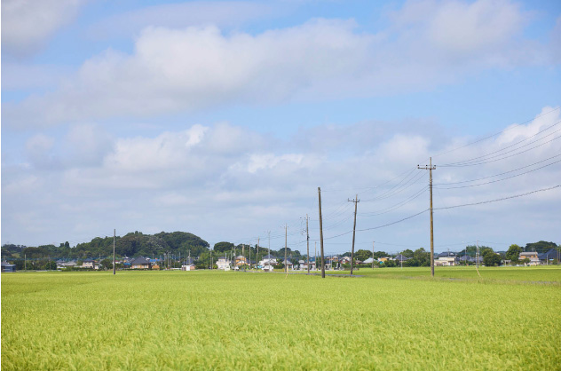 どこまでも続く稲敷市の田園風景