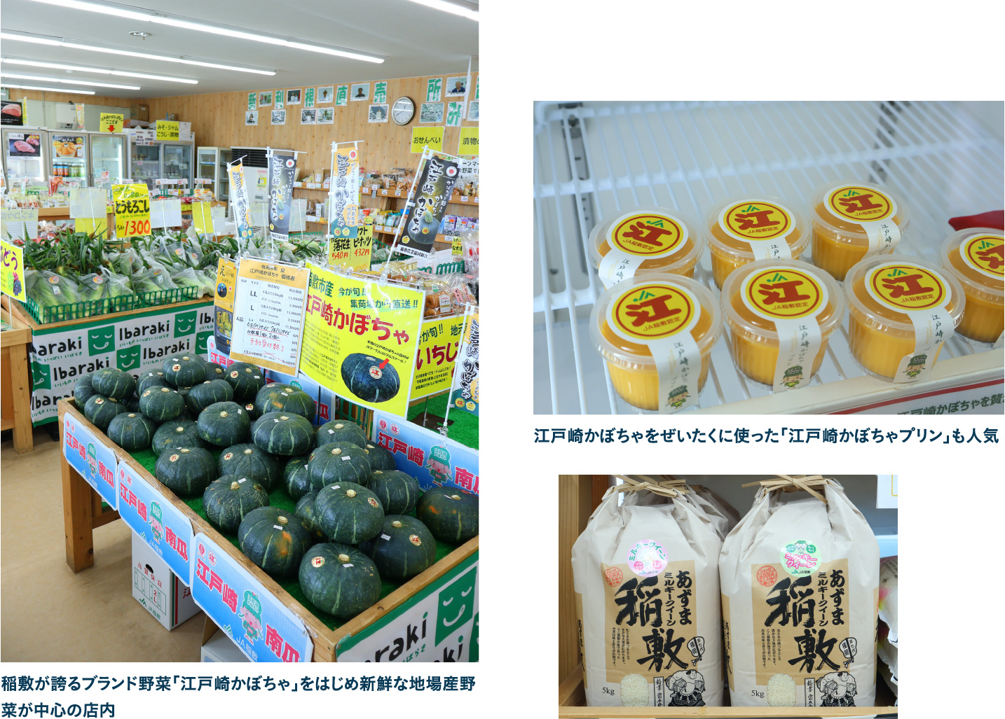 JA稲敷 新利根直売所