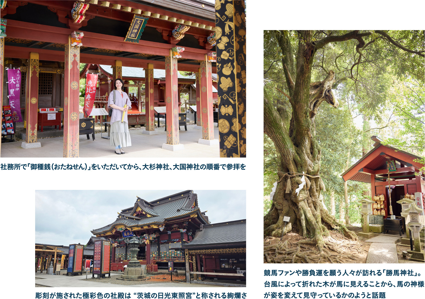 大杉神社
