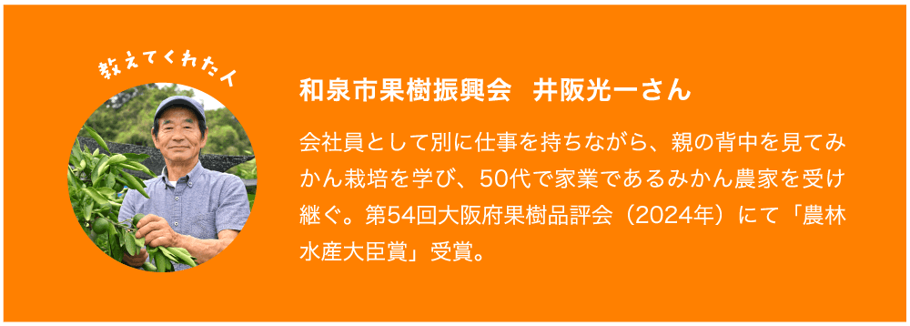 教えてくれた人 和泉市果樹振興会 井阪光一さん 会社員として別に仕事を持ちながら、親の背中を見てみかん栽培を学び、50代で家業であるみかん農家を受け継ぐ。第54回大阪府果樹品評会(2024年)にて「農林水産大臣賞」受賞。