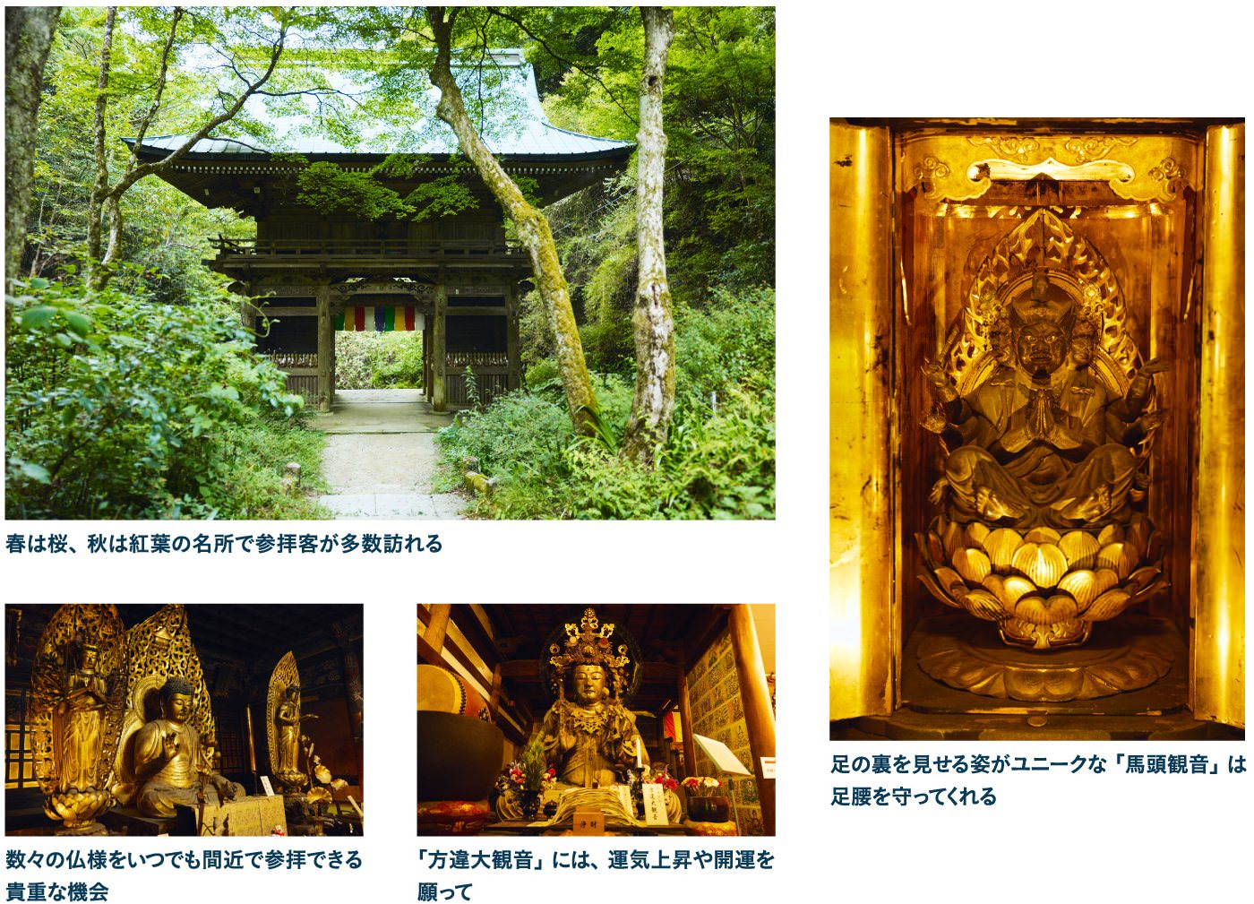 14:30 施福寺に登って拝んで心身ともにパワーチャージ