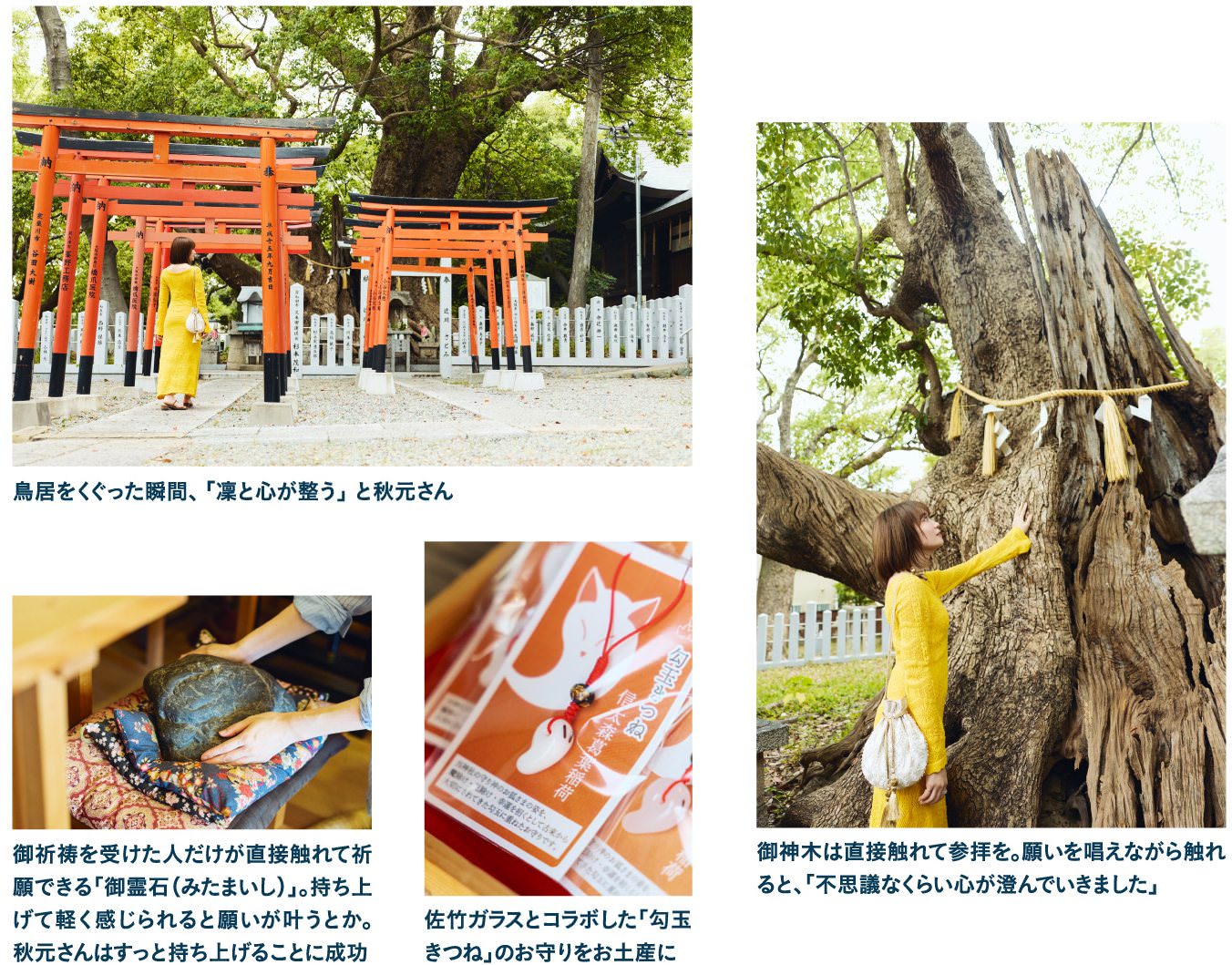 15:00 信太森葛葉稲荷神社で和泉の伝説をたどる