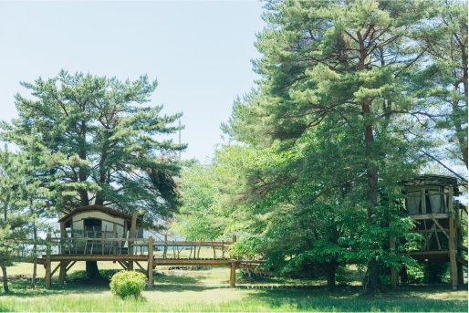 Special Interview 山本美月