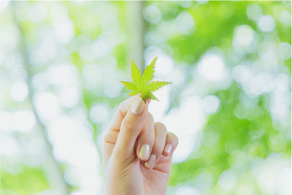 Special Interview 山本美月