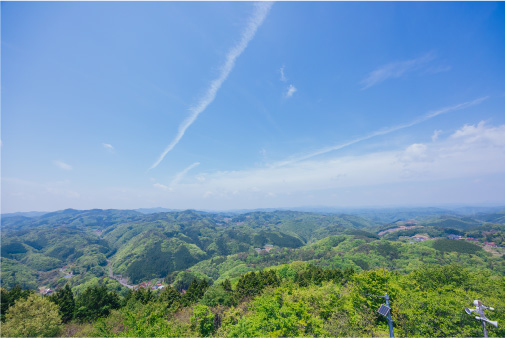 Special Interview 山本美月