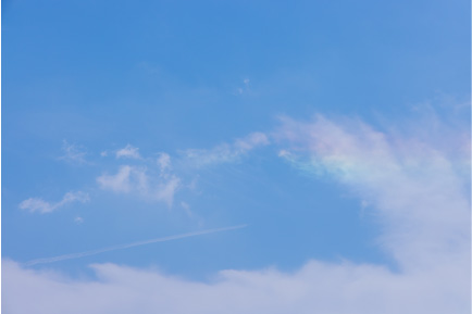 Special Interview 山本美月