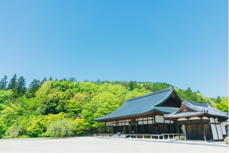 Special Interview 山本美月