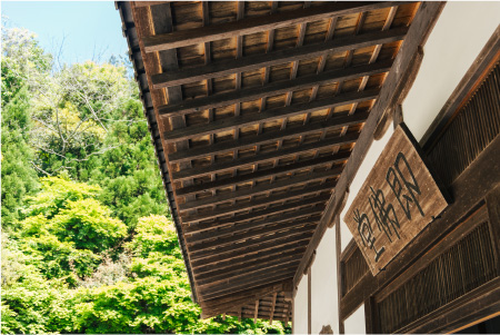 Special Interview 山本美月