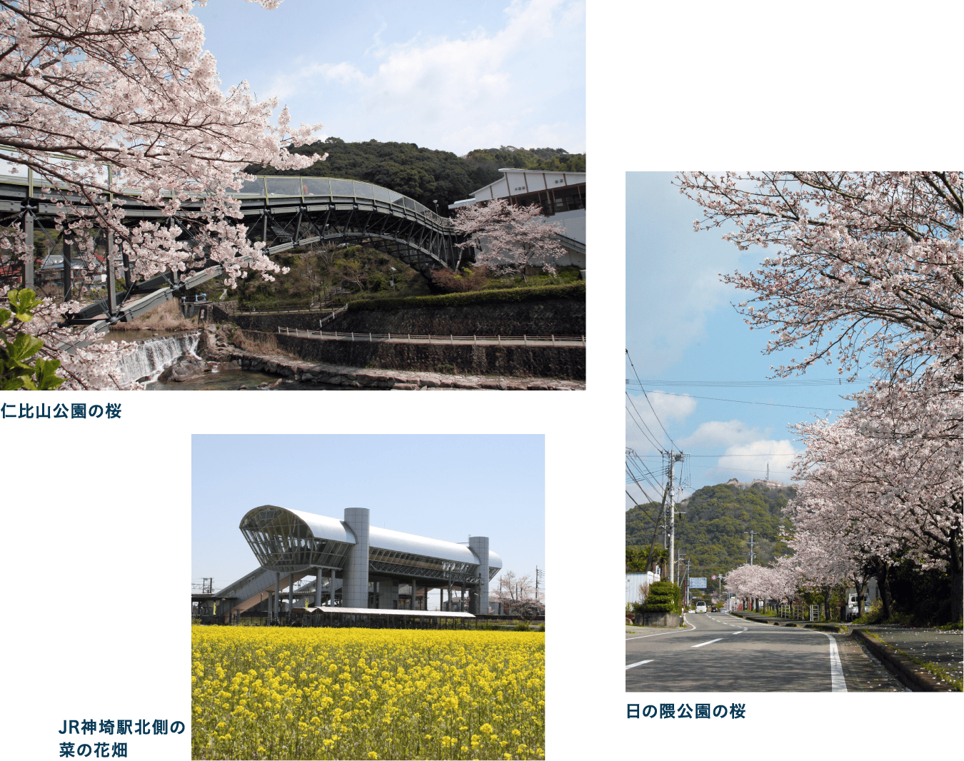 春3～5月　まるで絵画のような　桜の名所