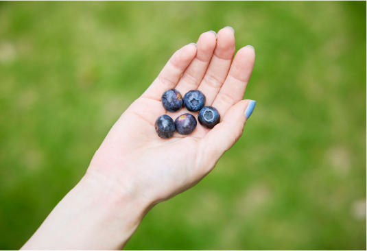 Special Interview 筧 美和子