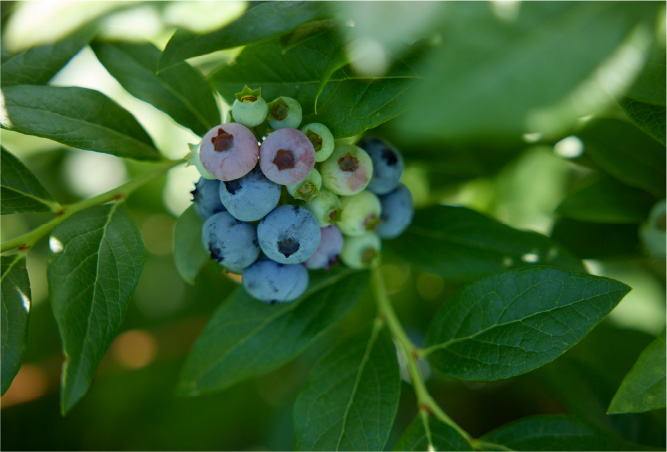 Special Interview 筧 美和子