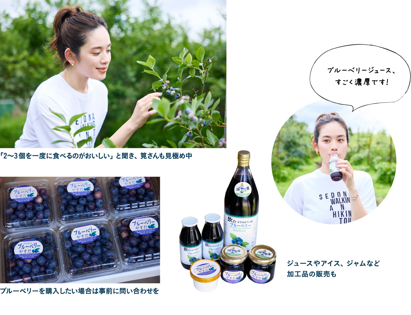 ブルーベリーやすだ