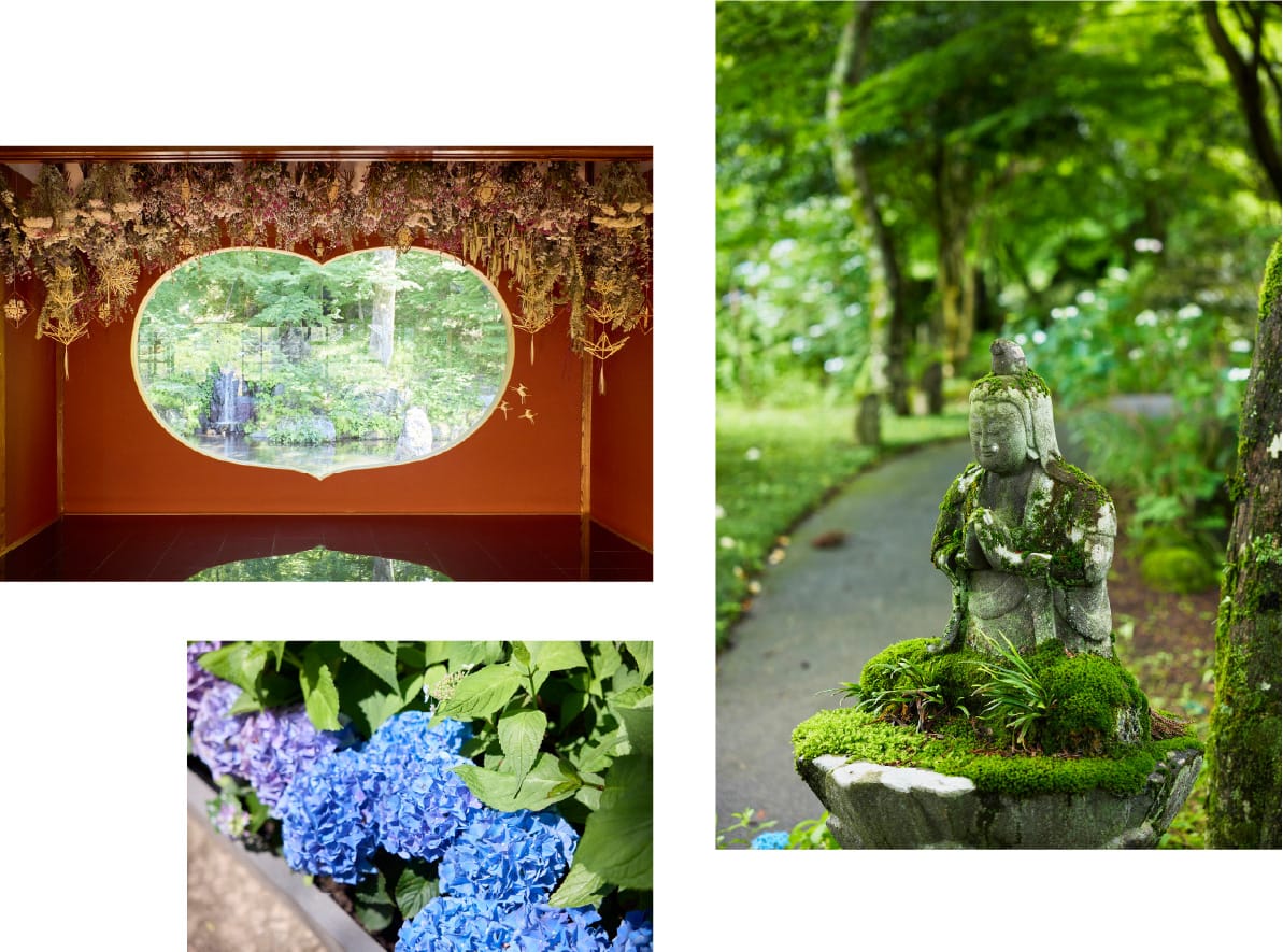 青龍山吉祥寺のハート形の猪目窓と、苔むした庭のお地蔵さま、あじさいの花