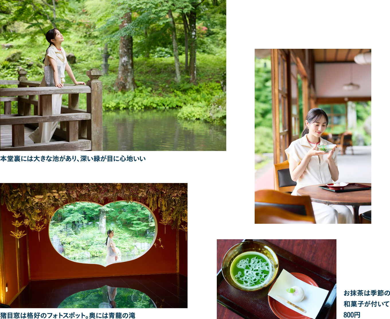 フォトジェニックな名刹を散策 青龍山（せいりゅうざん） 吉祥寺（きちじょうじ）へ