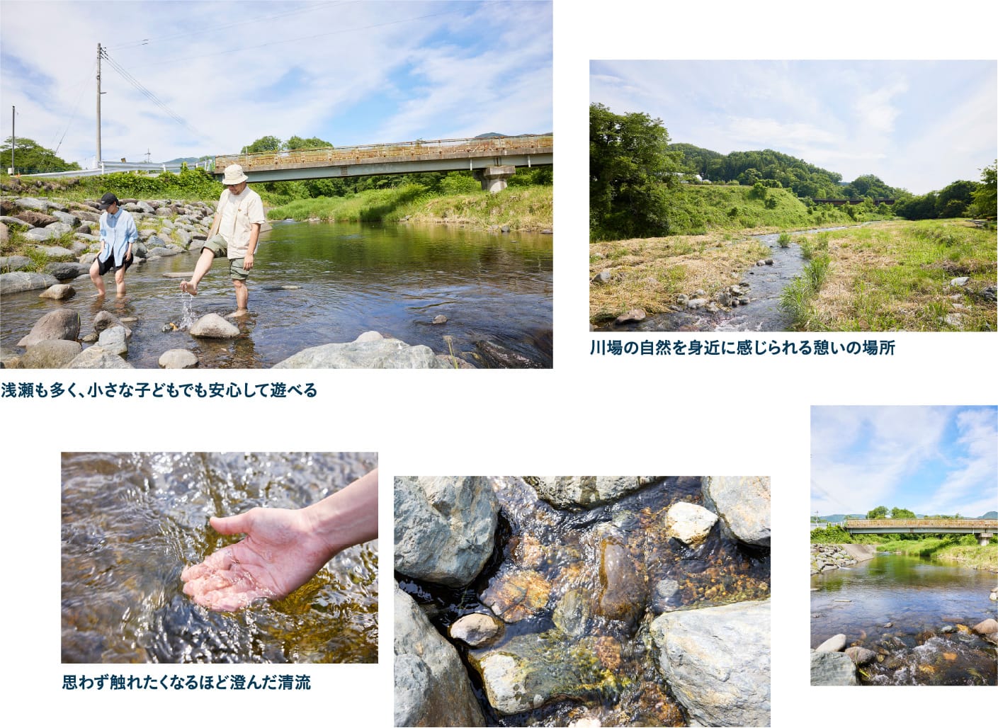 透き通る水が心地いい清流公園で 夏ならではの川遊びを満喫
