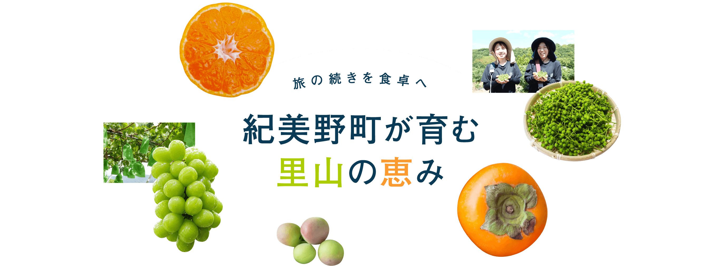 旅の続きを食卓へ 紀美野町が育む 里山の恵み