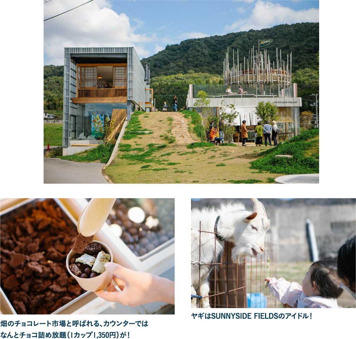 自然と調和して楽しむ まんのうの新名所・SUNNYSIDE FIELDS