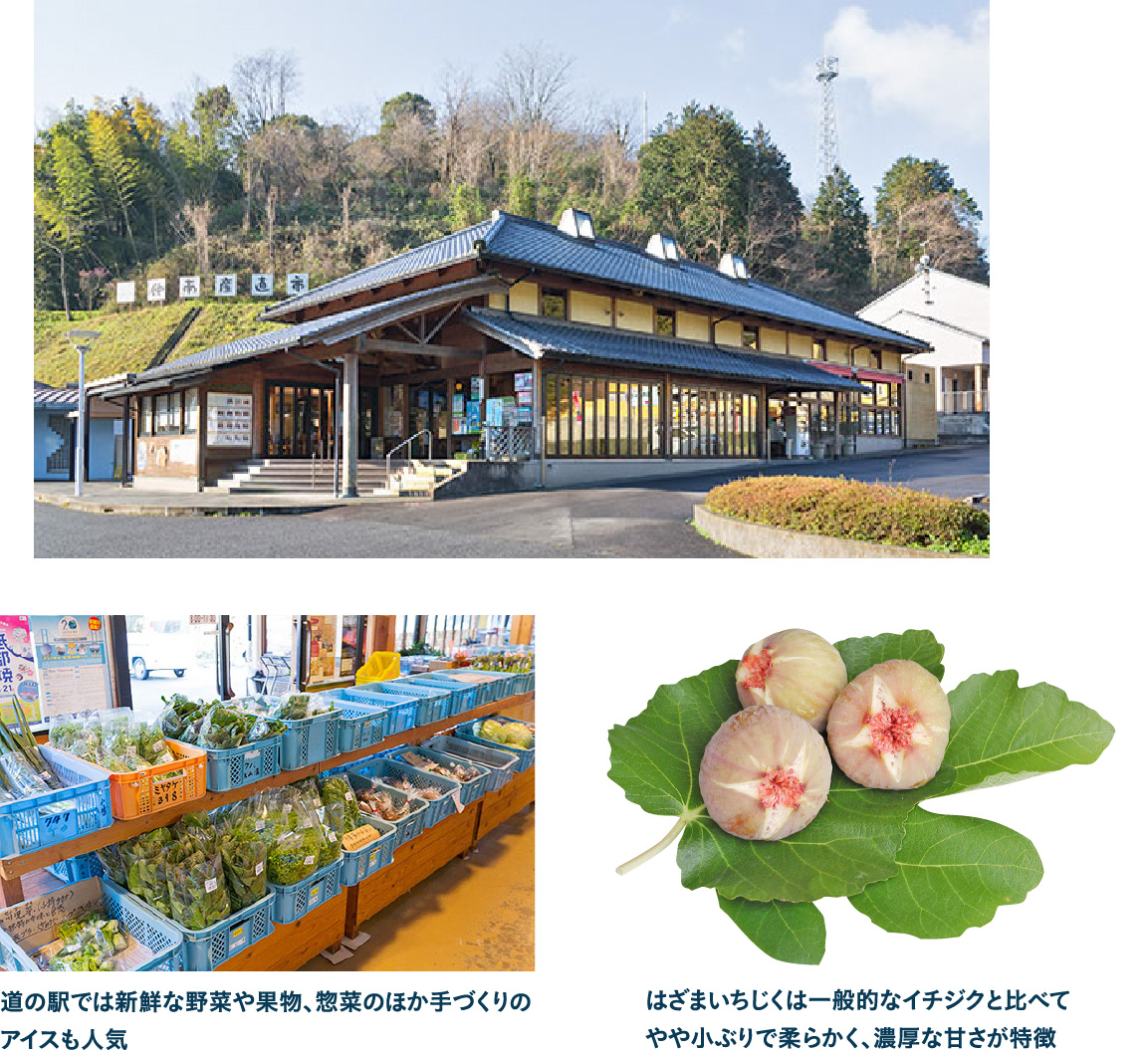 地元食材が集まる 道の駅 空の夢もみの木パークで 産地直送の新鮮な農産物・グルメをショッピング