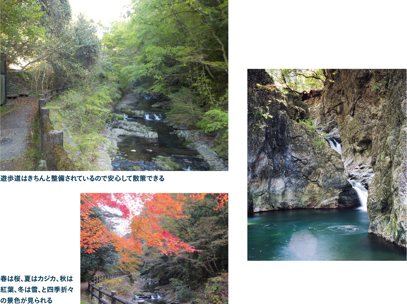 讃岐十景にも数えられる名勝 三霞洞渓谷でパワーチャージ