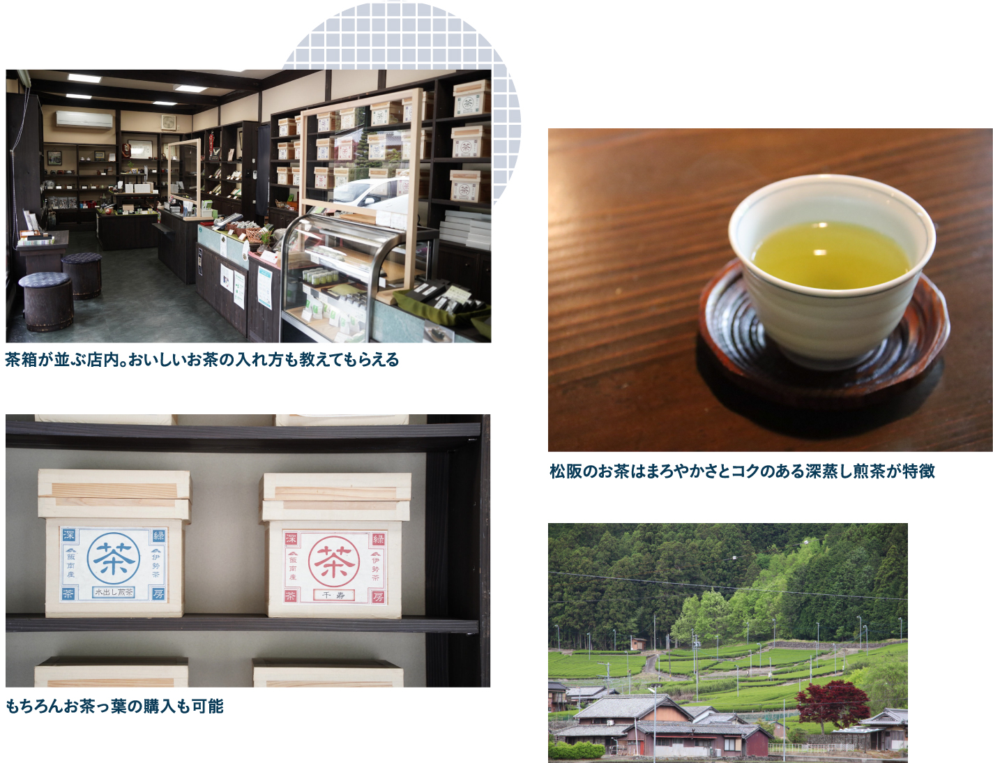 ランチの後は日本茶カフェ 深緑茶房 飯南本店へ立ち寄り