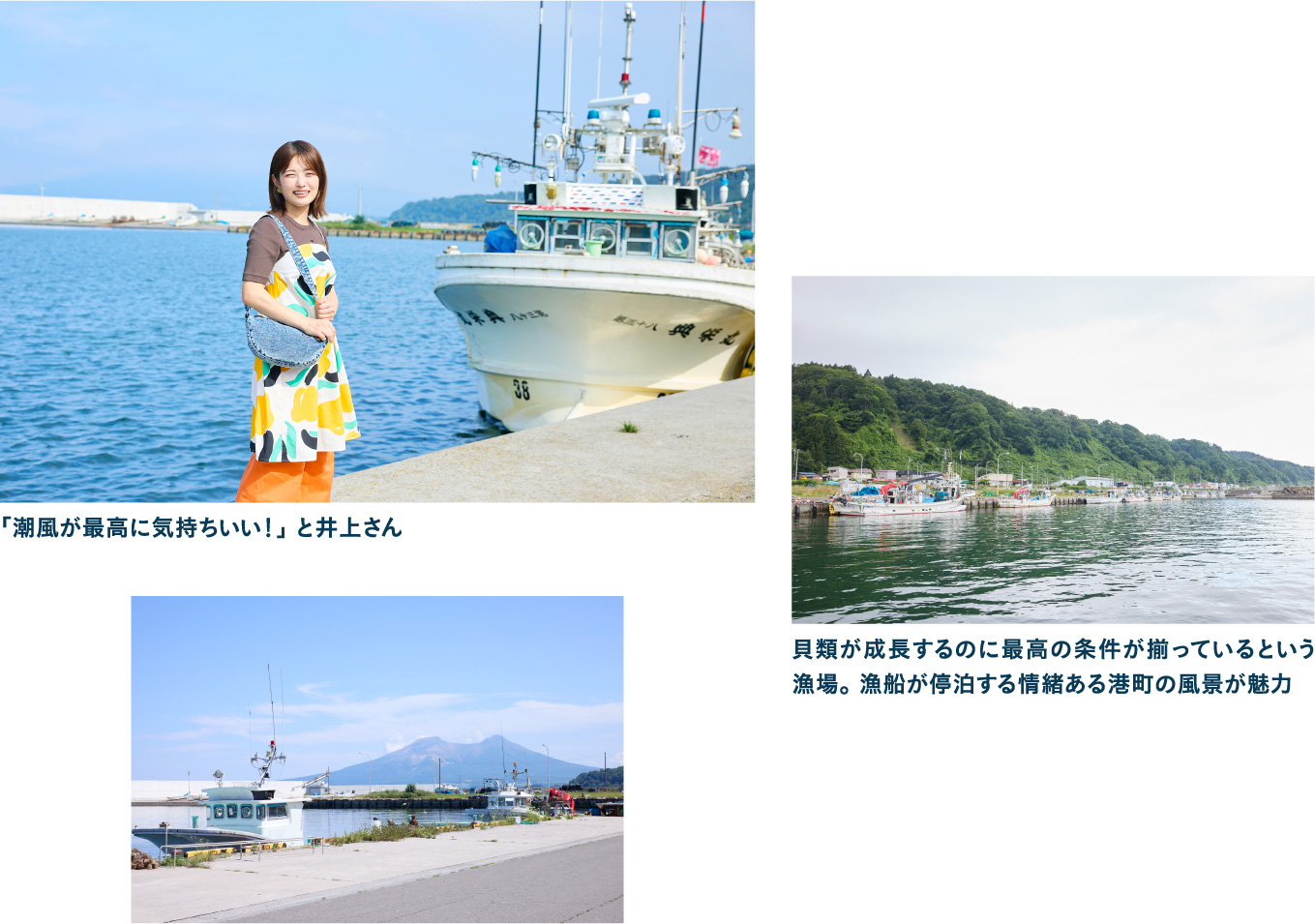 蛯谷漁港で海と山を一望