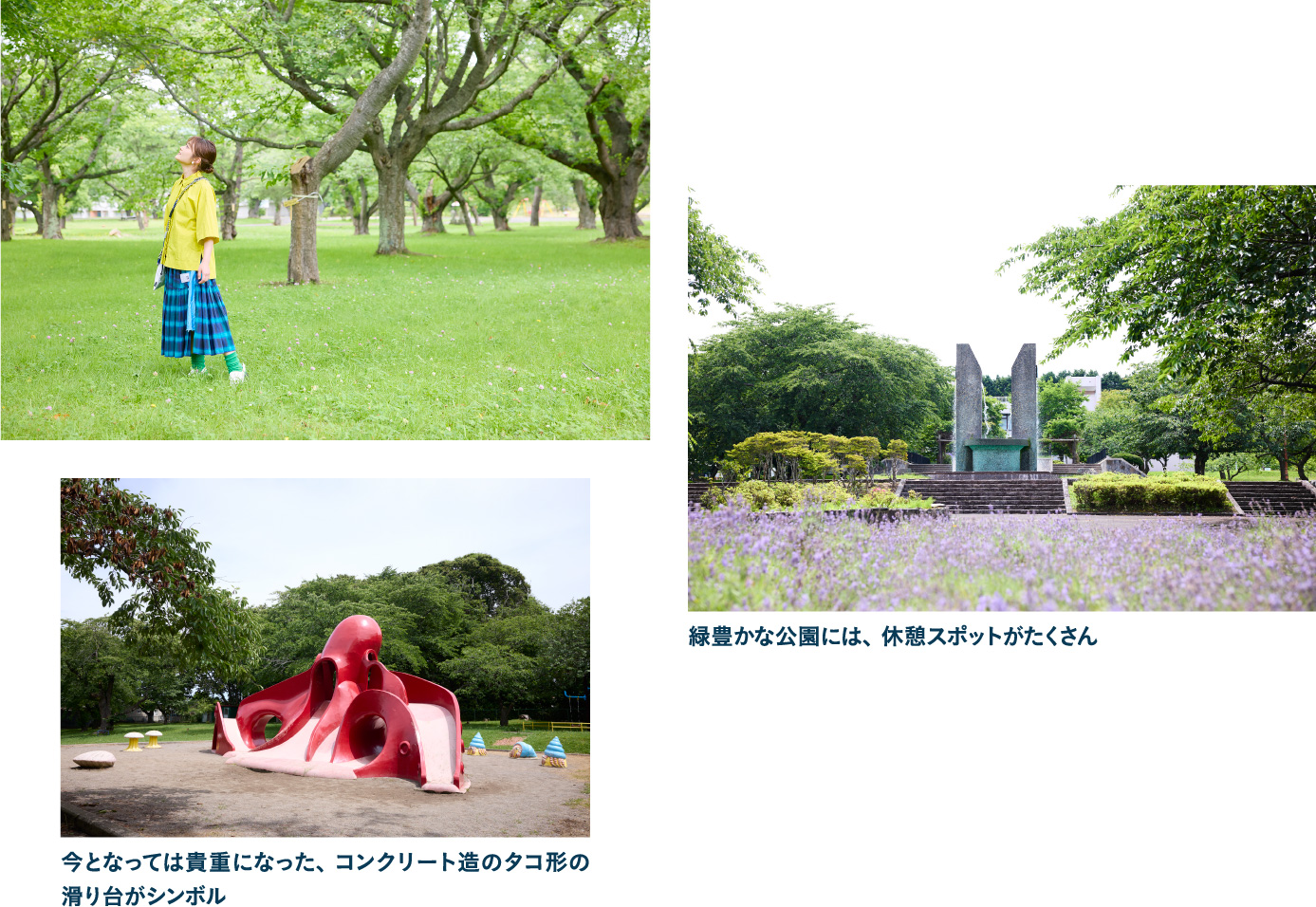 オニウシ公園