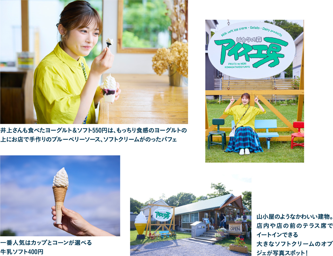 ピカタの森 アイス工房
