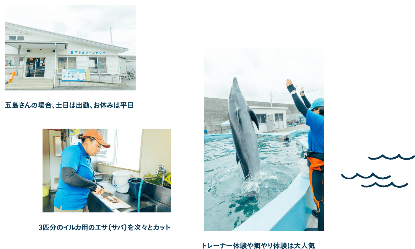 【1日のスケジュール】