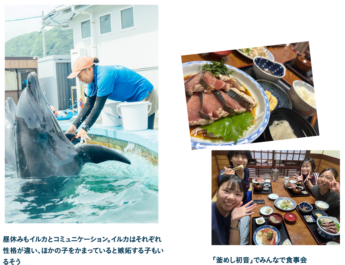 【1日のスケジュール】