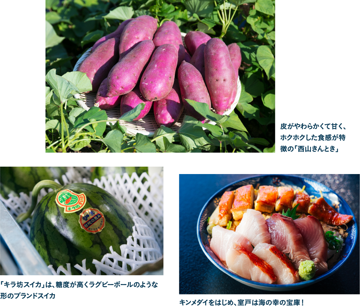 みんな宴会大好き!? 豊かな食文化