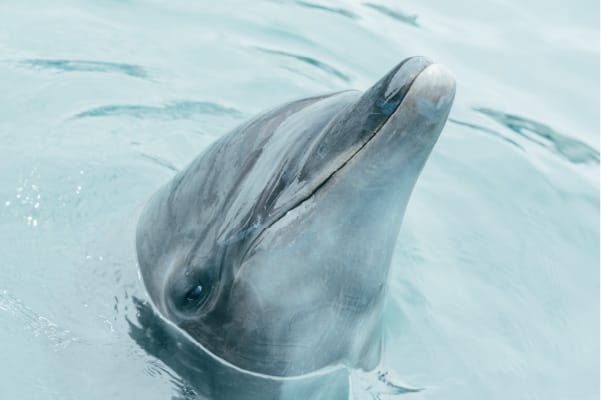 工藤美桜 インタビュー
