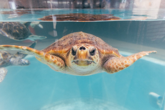 工藤美桜 インタビュー