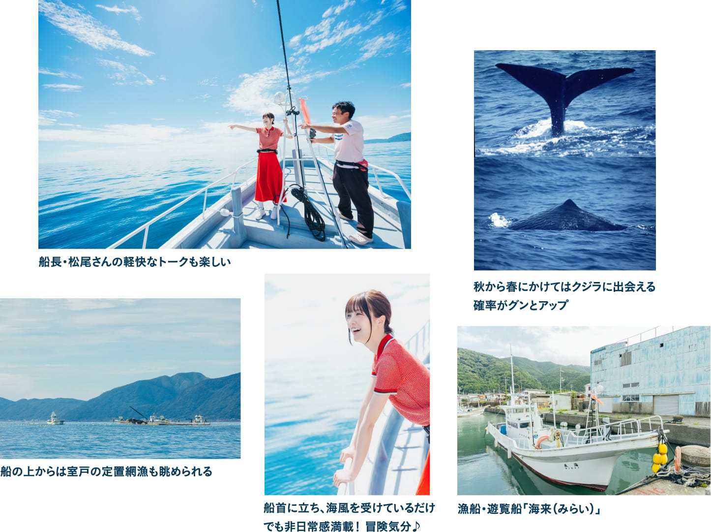 クジラやイルカに会えるかも! ドキドキな冒険クルーズを体験